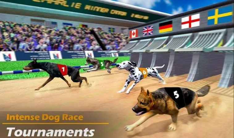 Cách chơi game nhanh Đua Chó Tại AW8