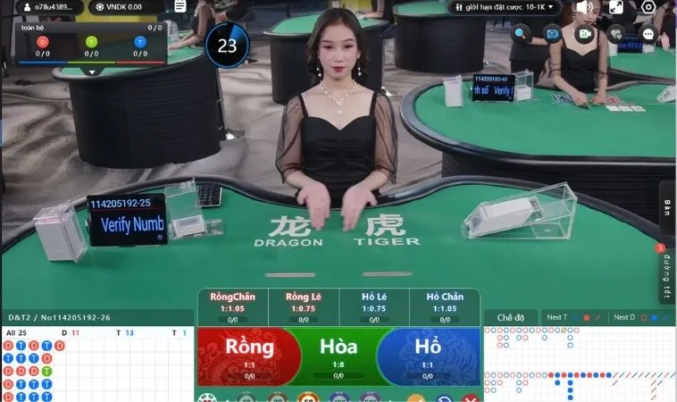 Các loại cược trong Dragon Tiger Tại AW8